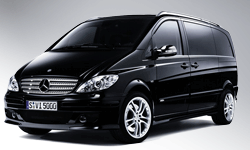 Chauffeur-Driven Tours and Group Transportation - Lugano